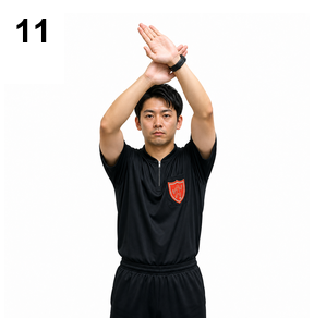 シグナル11