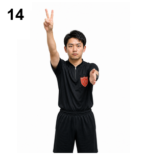 シグナル14