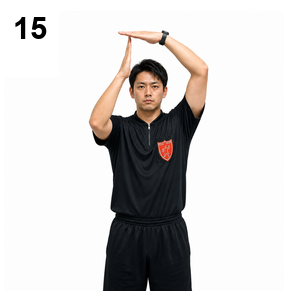 シグナル15