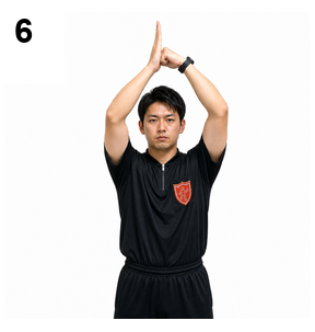 シグナル6